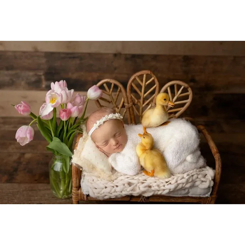 Babymoon Rustic Cane Floral Sofa | Wooden Properties | Baby Photography Props