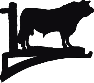Bull Hanging Brackets