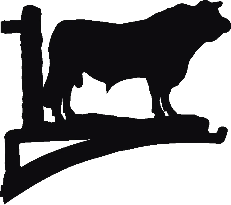 Bull Hanging Brackets