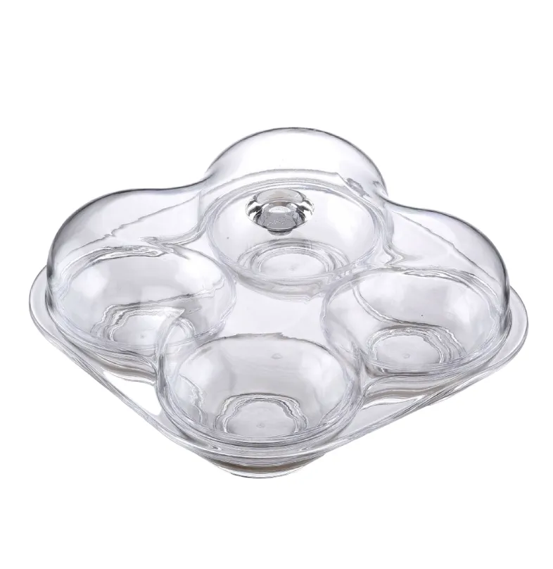 Divided 4-Section Serving Tray With Cover