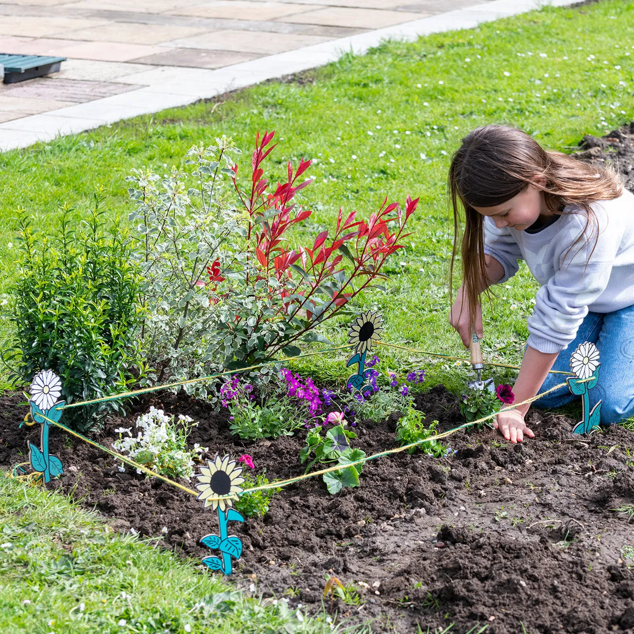 My Garden Patch Set, Flower - RHS Growing Gardeners