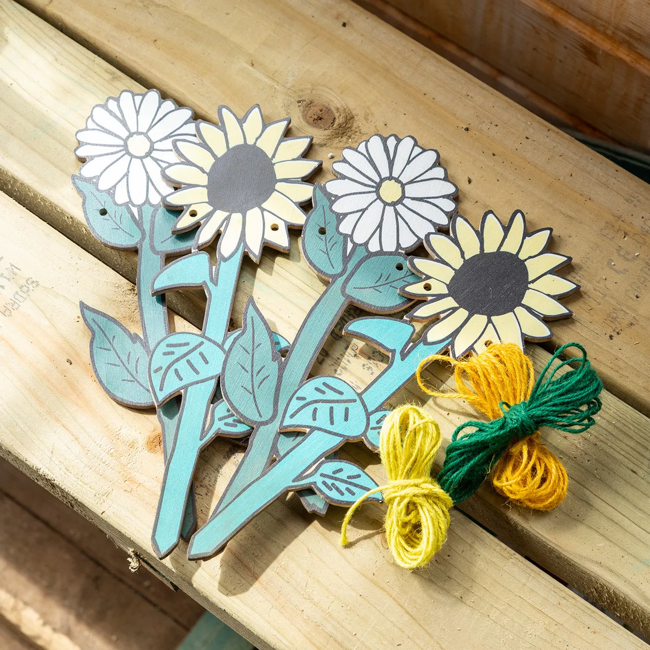 My Garden Patch Set, Flower - RHS Growing Gardeners