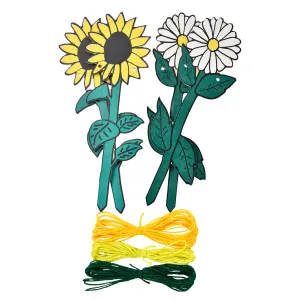 My Garden Patch Set, Flower - RHS Growing Gardeners